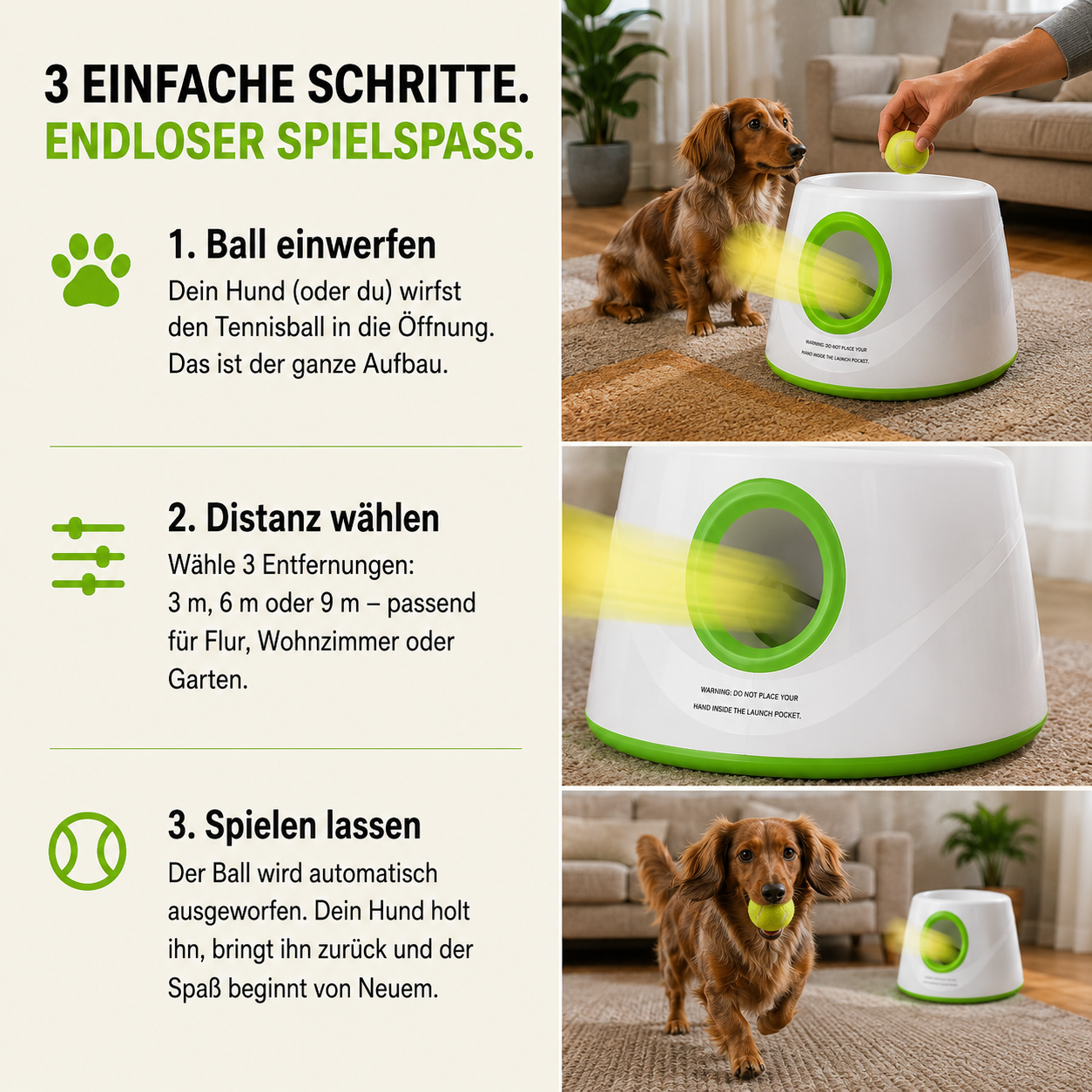 Automatischer Hunde-Ballwerfer