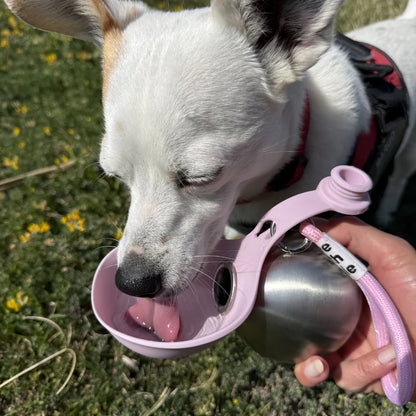 Pawbuddy™ Hunde-Trinkflasche mit Napf