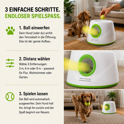 Automatischer Hunde-Ballwerfer