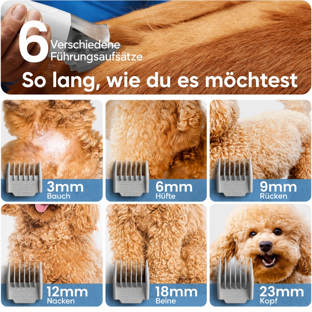 Pawbuddy Vierbeiner-Pflegesystem