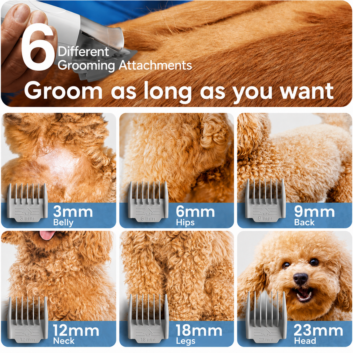 Pawbuddy Pet Grooming System